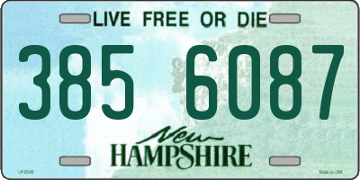 NH license plate 3856087