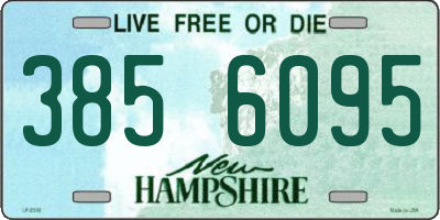 NH license plate 3856095