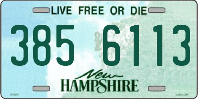 NH license plate 3856113