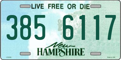 NH license plate 3856117