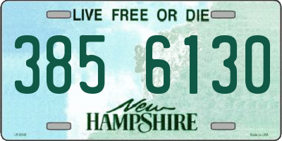NH license plate 3856130