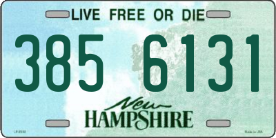 NH license plate 3856131