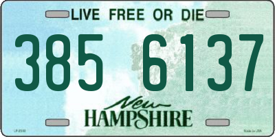NH license plate 3856137