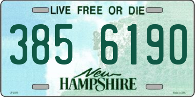 NH license plate 3856190