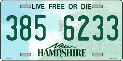 NH license plate 3856233