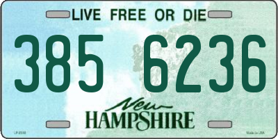 NH license plate 3856236