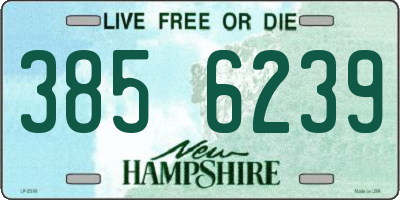 NH license plate 3856239