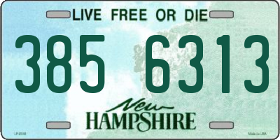 NH license plate 3856313