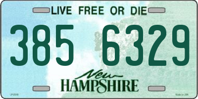 NH license plate 3856329