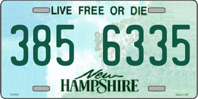 NH license plate 3856335