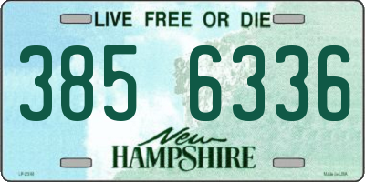 NH license plate 3856336