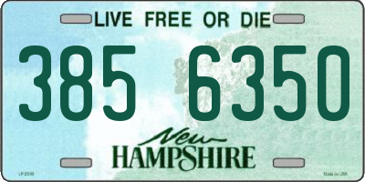 NH license plate 3856350