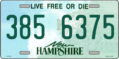 NH license plate 3856375