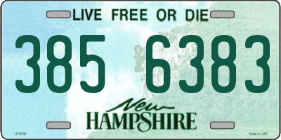 NH license plate 3856383