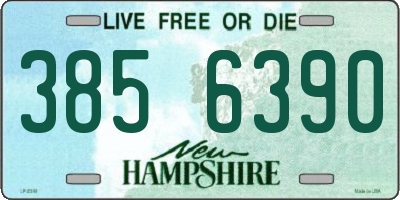 NH license plate 3856390