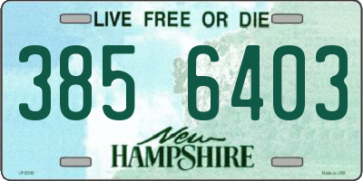 NH license plate 3856403