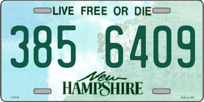 NH license plate 3856409