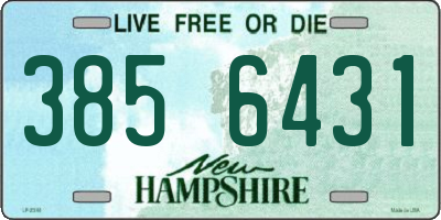 NH license plate 3856431