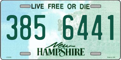 NH license plate 3856441