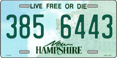 NH license plate 3856443