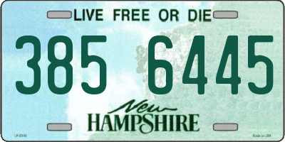 NH license plate 3856445