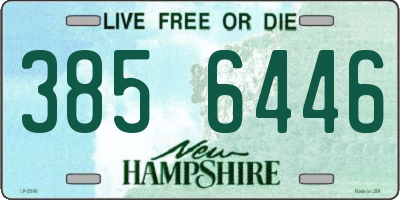 NH license plate 3856446