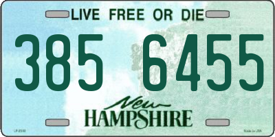NH license plate 3856455