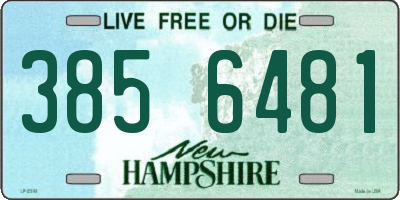NH license plate 3856481