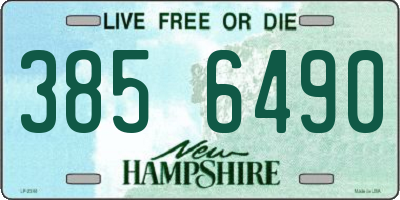 NH license plate 3856490