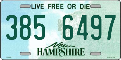 NH license plate 3856497