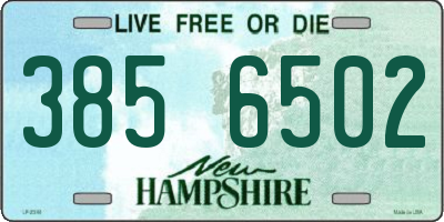 NH license plate 3856502