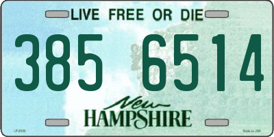NH license plate 3856514
