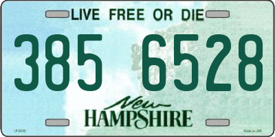 NH license plate 3856528