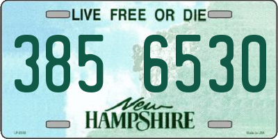 NH license plate 3856530