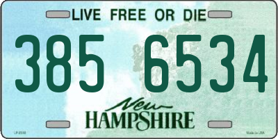 NH license plate 3856534