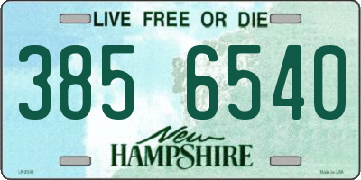 NH license plate 3856540