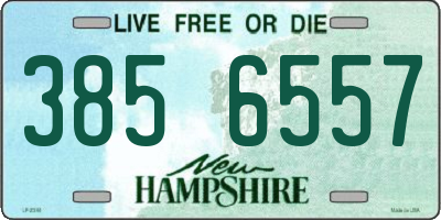 NH license plate 3856557