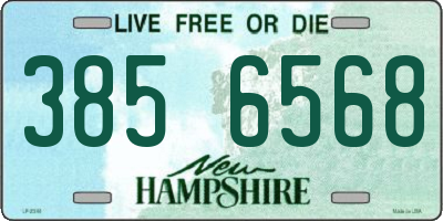 NH license plate 3856568