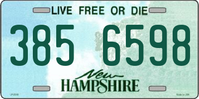 NH license plate 3856598