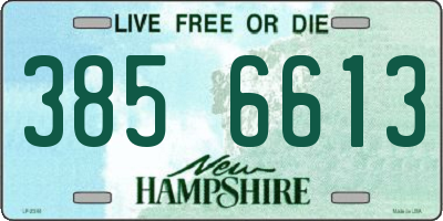 NH license plate 3856613