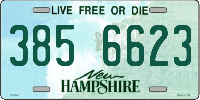 NH license plate 3856623