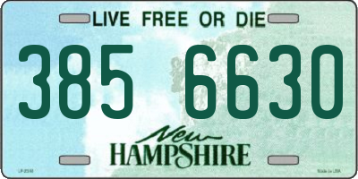 NH license plate 3856630