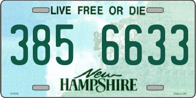 NH license plate 3856633