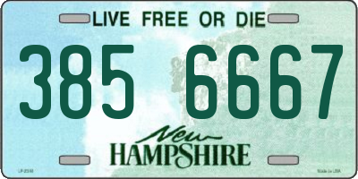 NH license plate 3856667