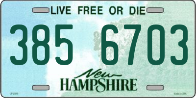 NH license plate 3856703