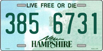 NH license plate 3856731