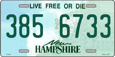 NH license plate 3856733