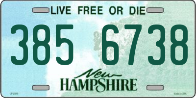 NH license plate 3856738