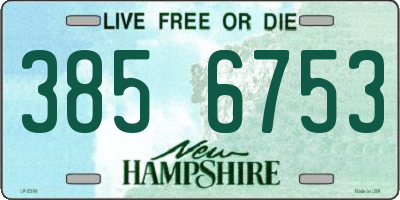NH license plate 3856753