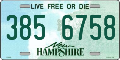 NH license plate 3856758